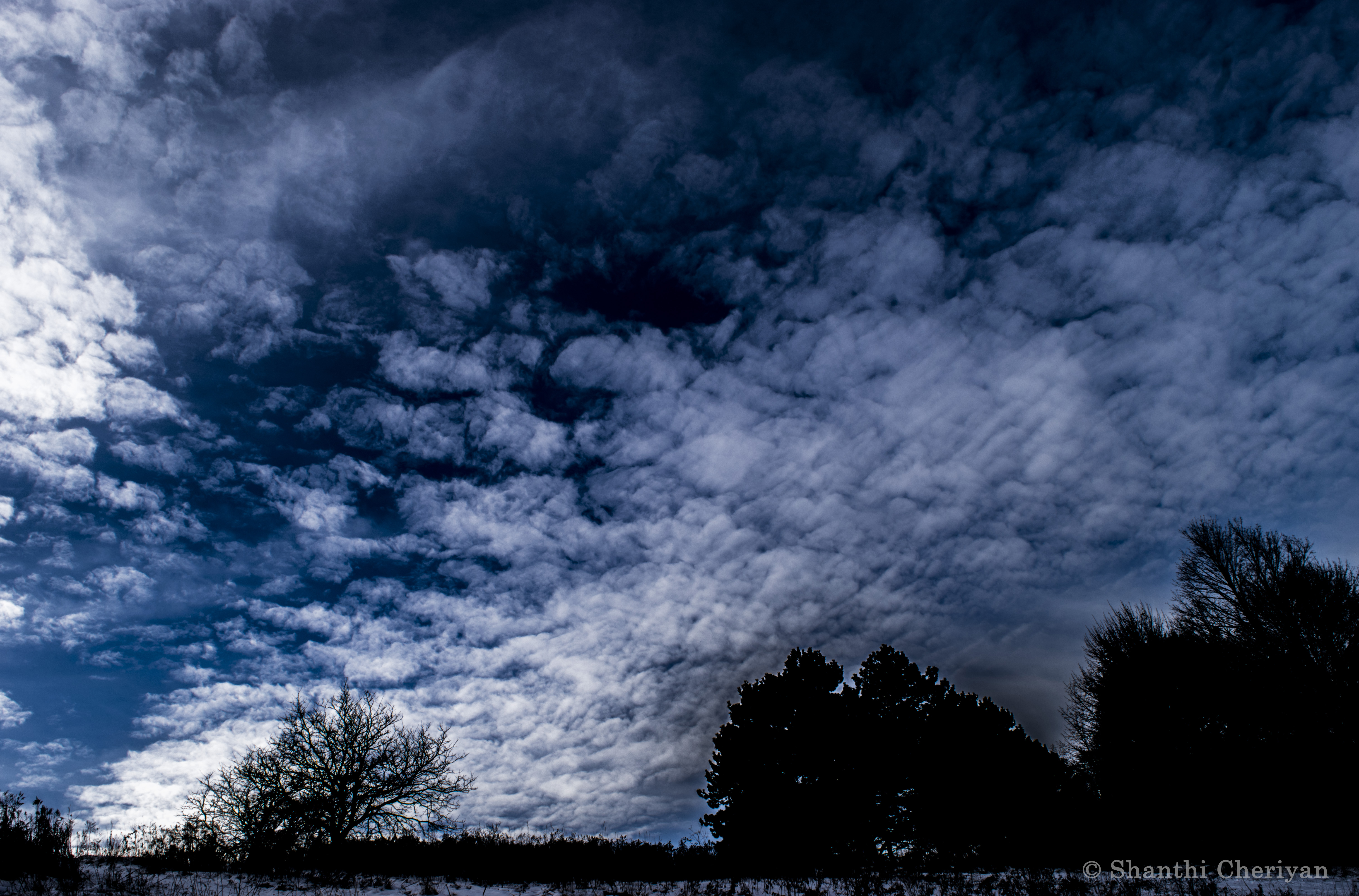 Photo of cloud-filled sky and trees